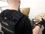 Funkcjonariusz KAS w umundurowaniu stoi tyłem do obiektywu i trzyma w ręce woreczek z tytoniem