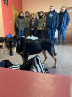 Na pierwszym planie piesek. W tle Pracownicy  z przekazanymi darami.