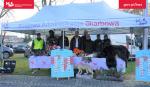 Stoisko promocyjne lubuskiej KAS, ośmiu pracowników KAS, stoją pod namiotem z napisem Krajowa Administracja Skarbowa, na stołach okazy CITES i przedmioty do pracy funkcjonariuszy Służby Celno-Skarbowej