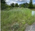 widok na drogę dojazdową